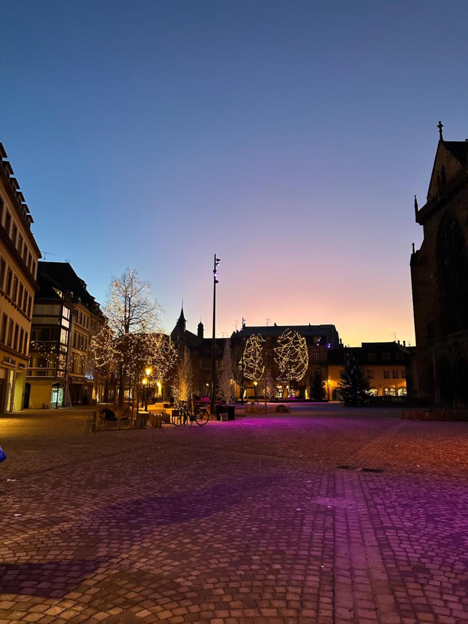 Apartamento Le Muscat Colmar Exterior foto