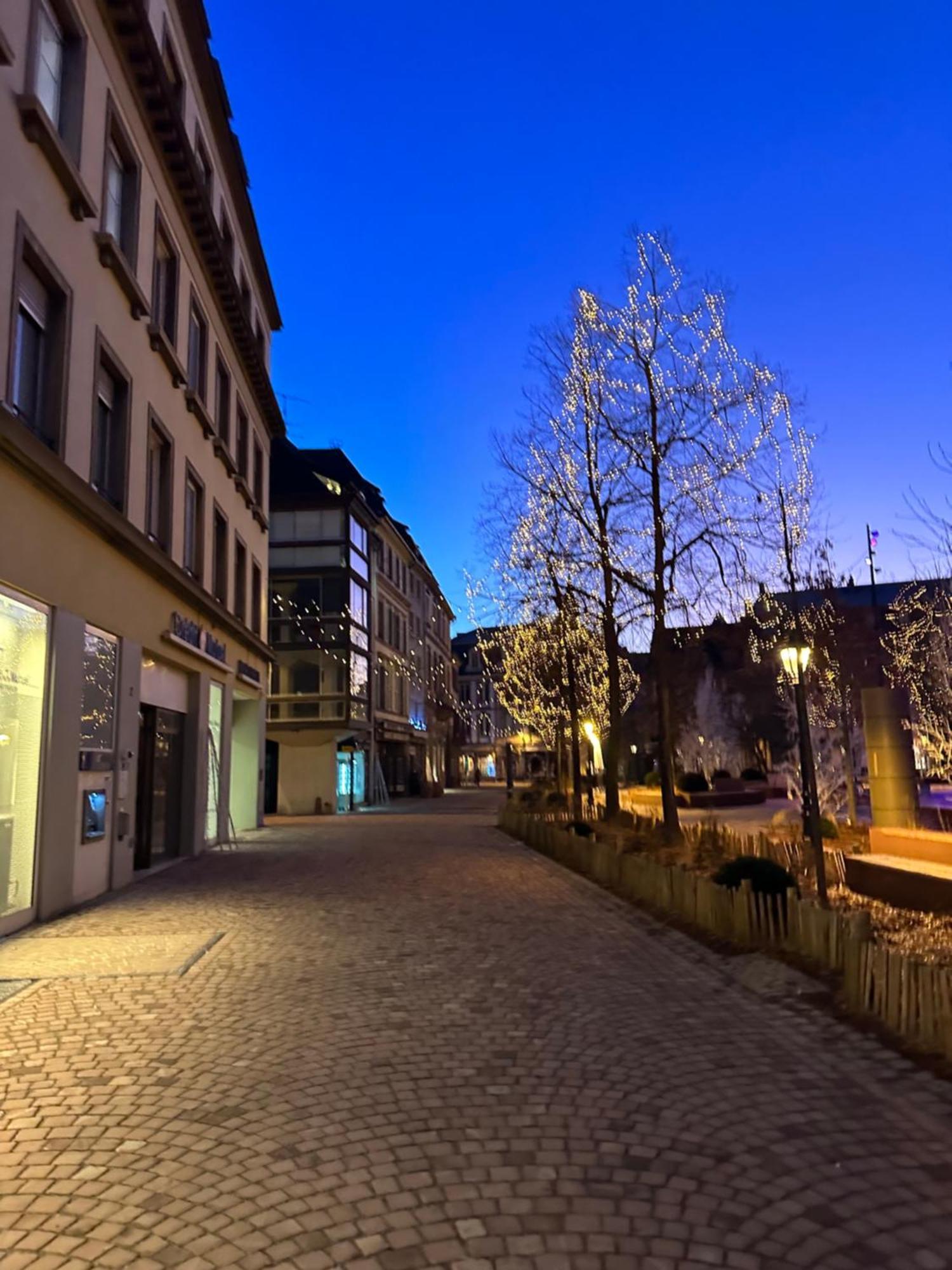 Apartamento Le Muscat Colmar Exterior foto