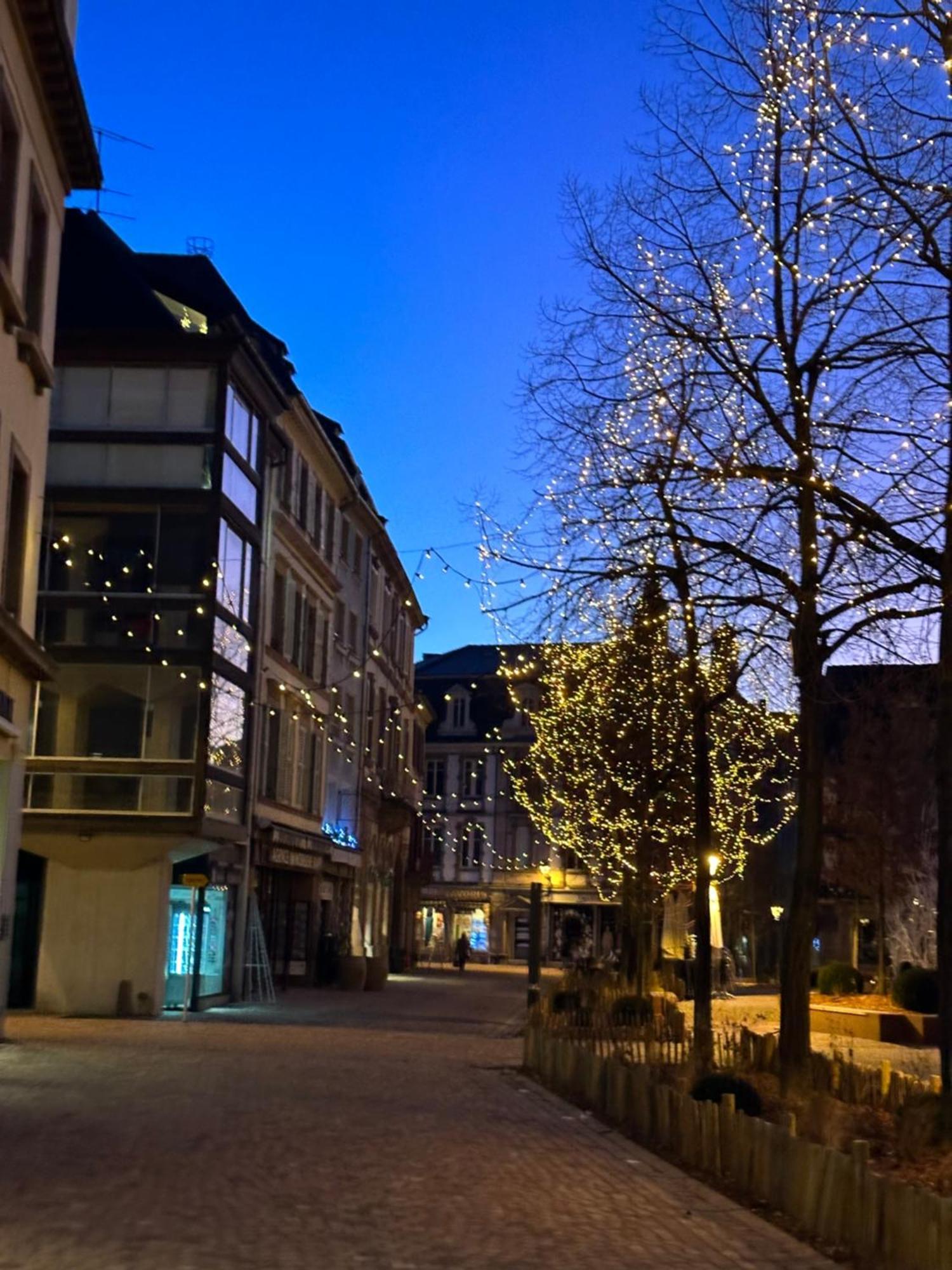 Apartamento Le Muscat Colmar Exterior foto